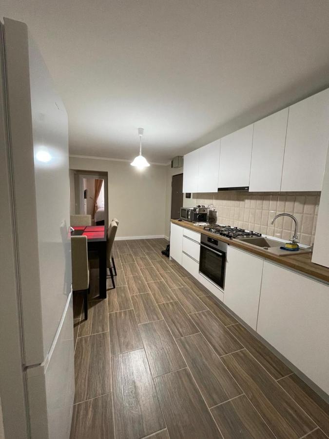 Apartament 1 Lalelelor Nasaud Exteriér fotografie