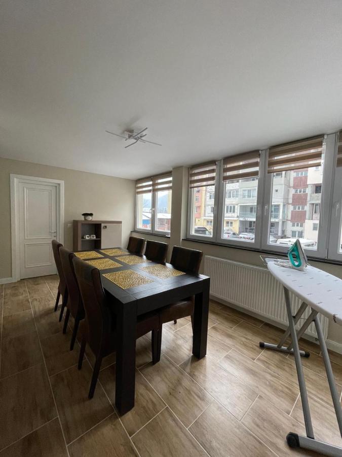Apartament 1 Lalelelor Nasaud Exteriér fotografie